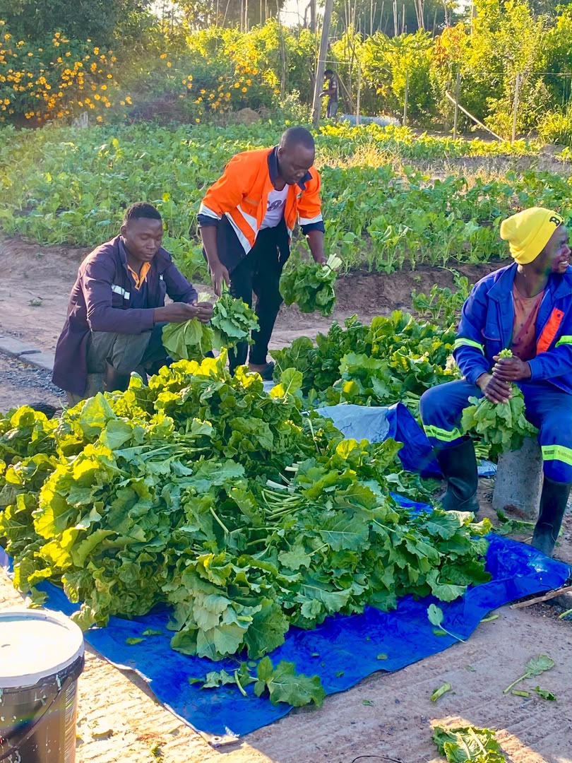 Kaptai Farms leadership portrait
